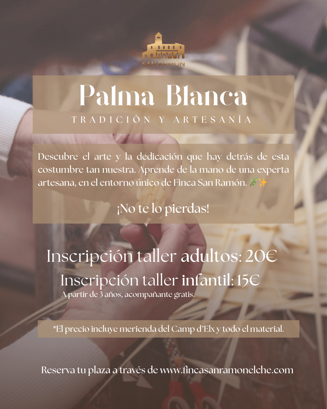EXPERIENCIA “TALLER DE PALMA BLANCA” - INFANTIL