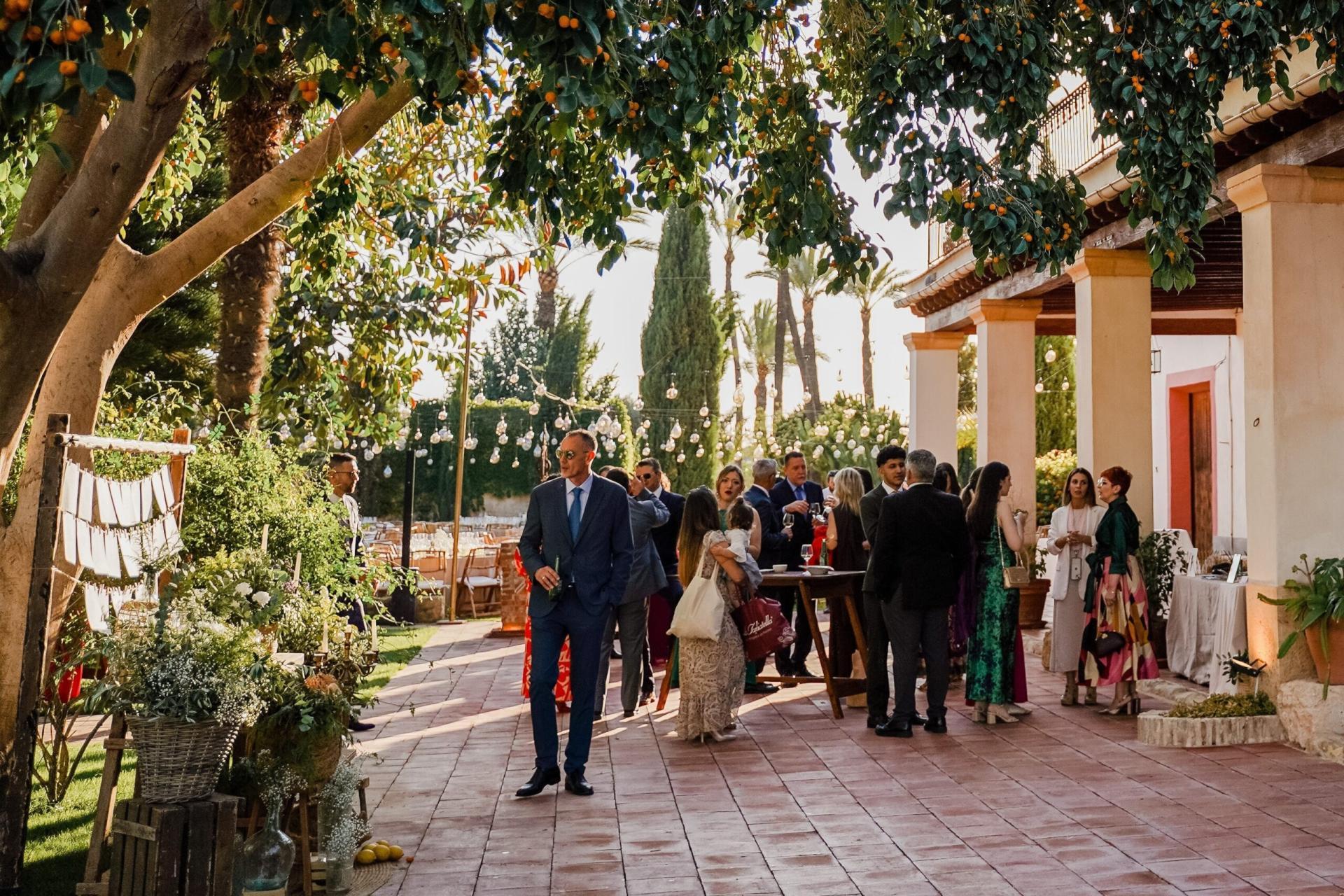 Boda-506