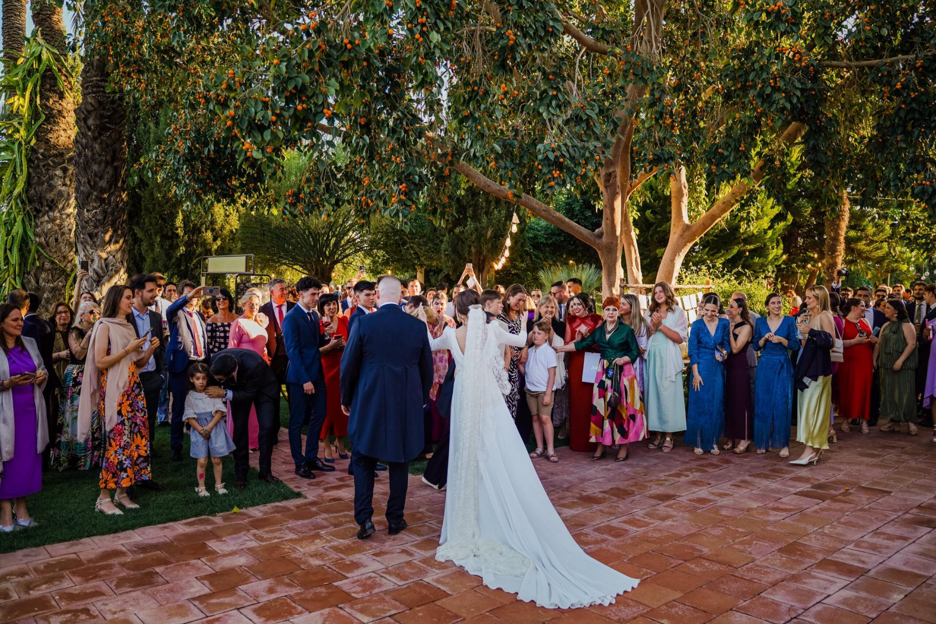 Boda-526