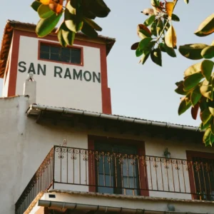 Historia viva del Camp D'Elx