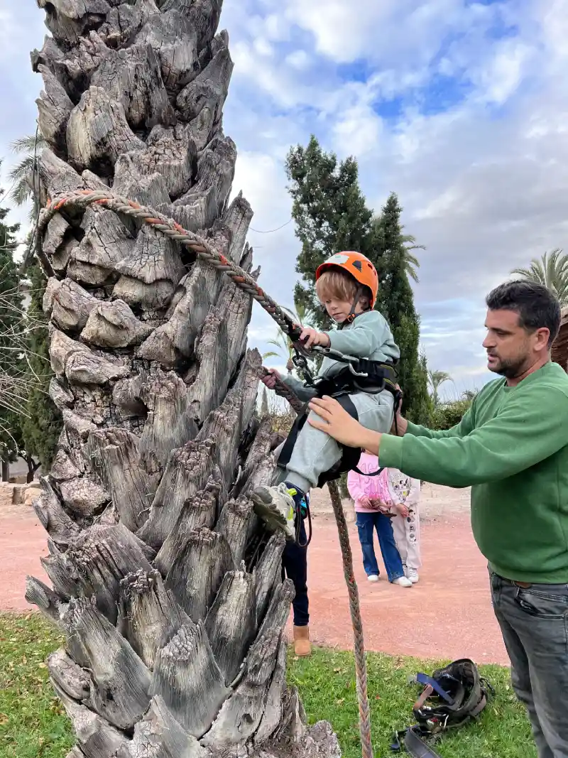 Trepa de palmera
