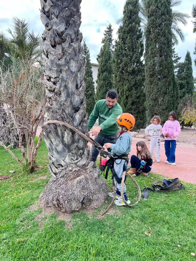 Trepa de palmera
