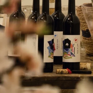 Cata de vinos
