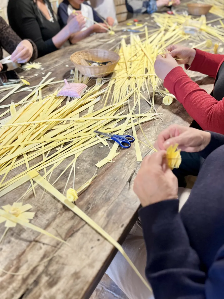 taller palma