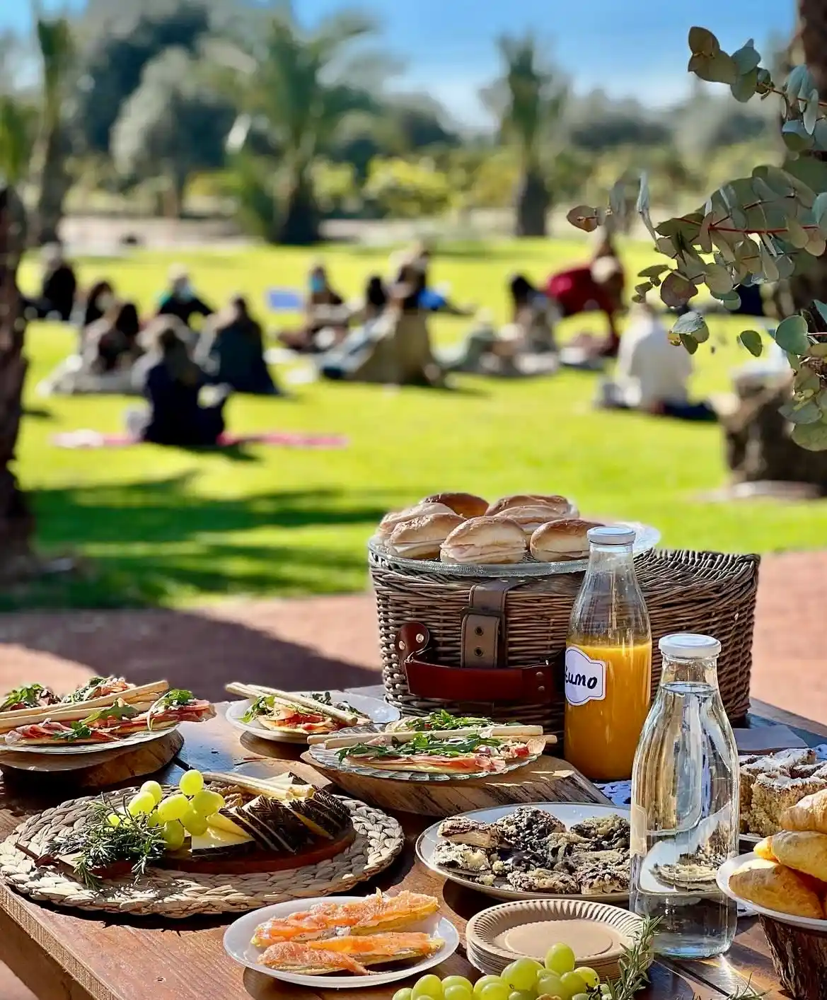 Meditación al aire libre