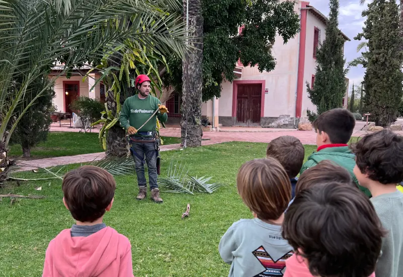 Trepa de Palmera_Finca San Ramón (1)
